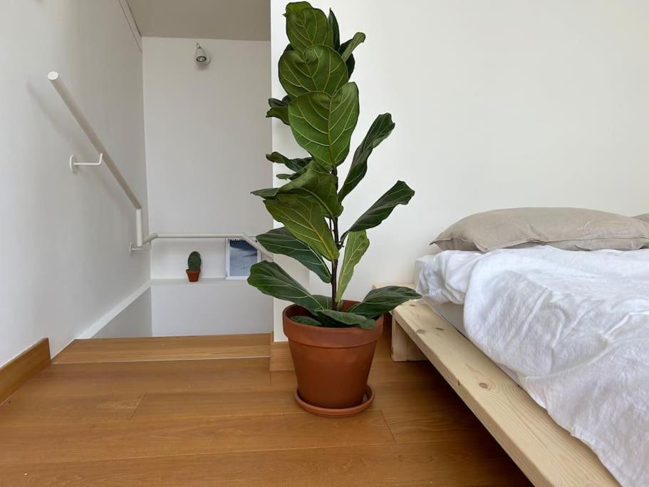 דירות טרנטו Casa Alegria מראה חיצוני תמונה