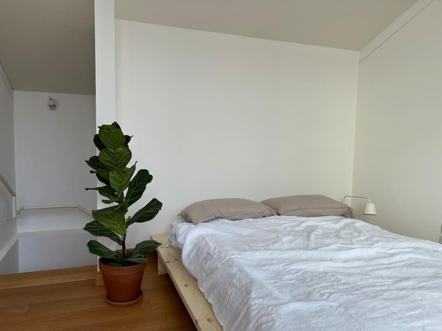 דירות טרנטו Casa Alegria מראה חיצוני תמונה